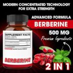 Agobi Berberine (12,800 mg) – 60 vegan capsules - Image 3