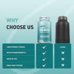 HerbTonics Sea Moss with Ashwagandha – 60 Vegetarian Capsules - Image 3